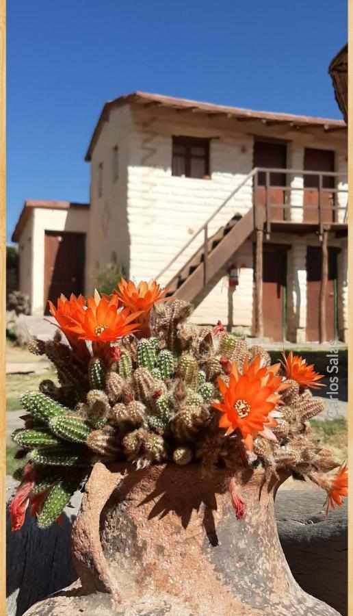 El Sol Hostel De Humahuaca Exterior foto